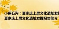 小黑石溝:夏家店上層文化遺址發掘報告(關于小黑石溝:夏家店上層文化遺址發掘報告簡介)