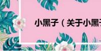 小黑子(關于小黑子簡介)