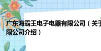 廣東海霸王電子電器有限公司(關于廣東海霸王電子電器有限公司介紹)