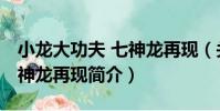 小龍大功夫 七神龍再現(關于小龍大功夫 七神龍再現簡介)