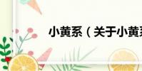 小黃系(關于小黃系簡介)