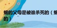 蝎的父母是被誰殺死的(蝎的父母是被誰殺死的)