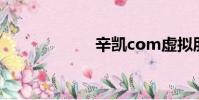 辛凱com虛擬朋友