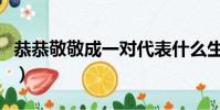 恭恭敬敬成一對代表什么生肖(恭恭敬敬地看)