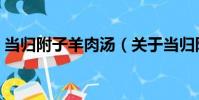 當歸附子羊肉湯(關于當歸附子羊肉湯介紹)