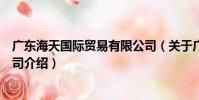 廣東海天國際貿易有限公司(關于廣東海天國際貿易有限公司介紹)