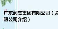 廣東潤杰集團有限公司(關于廣東潤杰集團有限公司介紹)