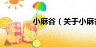 小麻谷(關于小麻谷簡介)