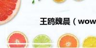 王鷗魏晨(wow163)
