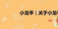 小龍亭(關于小龍亭簡介)