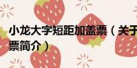 小龍大字短距加蓋票(關于小龍大字短距加蓋票簡介)