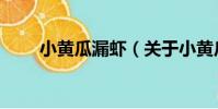 小黃瓜漏蝦(關于小黃瓜漏蝦簡介)