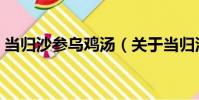 當歸沙參烏雞湯(關于當歸沙參烏雞湯介紹)