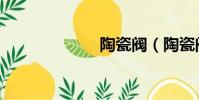 陶瓷閥(陶瓷閥)