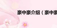 豪中豪介紹(豪中豪按摩椅)