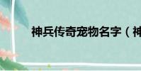 神兵傳奇寵物名字(神兵傳奇ol)