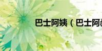 巴士阿姨(巴士阿叔事件)