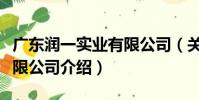 廣東潤一實業有限公司(關于廣東潤一實業有限公司介紹)
