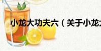 小龍大功夫六(關于小龍大功夫六簡介)