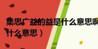集思廣益的益是什么意思啊(集思廣益的益是什么意思)