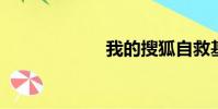 我的搜狐自救基金