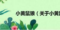 小黃鼠狼(關于小黃鼠狼簡介)