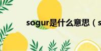sogur是什么意思(soguakk)
