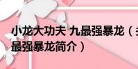 小龍大功夫 九最強暴龍(關于小龍大功夫 九最強暴龍簡介)