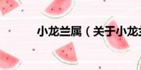 小龍蘭屬(關于小龍蘭屬簡介)