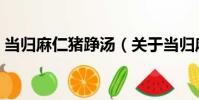 當歸麻仁豬踭湯(關于當歸麻仁豬踭湯介紹)