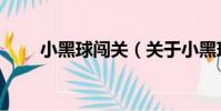 小黑球闖關(關于小黑球闖關簡介)