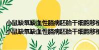 小鼠缺氧缺血性腦病胚胎干細胞移植治療的實驗研究(關于小鼠缺氧缺血性腦病胚胎干細胞移植治療的實驗研究簡介)