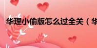 華理小偷版怎么過全關(華理小偷單機版)