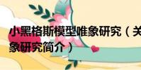 小黑格斯模型唯象研究(關于小黑格斯模型唯象研究簡介)