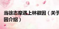 當徐志摩遇上林徽因(關于當徐志摩遇上林徽因介紹)