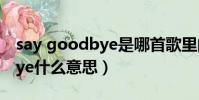say goodbye是哪首歌里的詞(say goodbye什么意思)