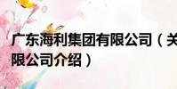 廣東海利集團有限公司(關于廣東海利集團有限公司介紹)