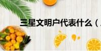 三星文明戶代表什么(三星w539)