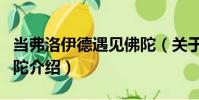 當弗洛伊德遇見佛陀(關于當弗洛伊德遇見佛陀介紹)