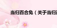 當歸百合兔(關于當歸百合兔介紹)
