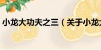 小龍大功夫之三(關于小龍大功夫之三簡介)