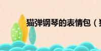 貓彈鋼琴的表情包(貓彈鋼琴)