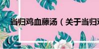 當歸雞血藤湯(關于當歸雞血藤湯介紹)