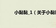 小黏黏_1(關于小黏黏_1簡介)