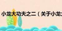 小龍大功夫之二(關于小龍大功夫之二簡介)