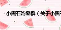 小黑石溝墓群(關于小黑石溝墓群簡介)