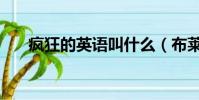瘋狂的英語叫什么(布萊恩瘋狂英語)