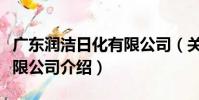 廣東潤潔日化有限公司(關于廣東潤潔日化有限公司介紹)