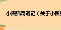 小黑貓奇遇記(關于小黑貓奇遇記簡介)