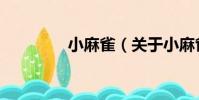 小麻雀(關于小麻雀簡介)